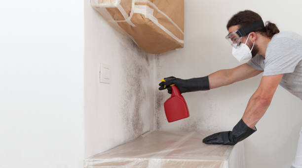 Professional Mold Remediation technician working in Marne, MI