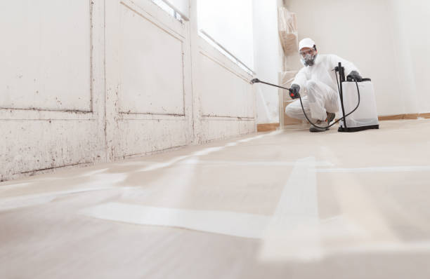 24/7 Emergency Mold Remediation experts in Marne, MI