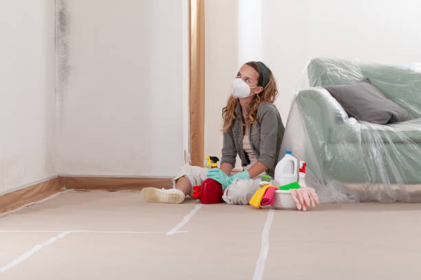 Reliable Mold Remediation contractor in Marne, MI by WQB Mold Removal